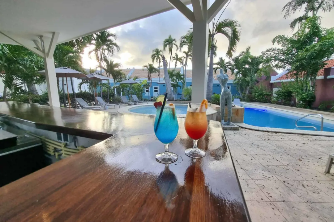 De bar bij het Kura Botanica Hotel