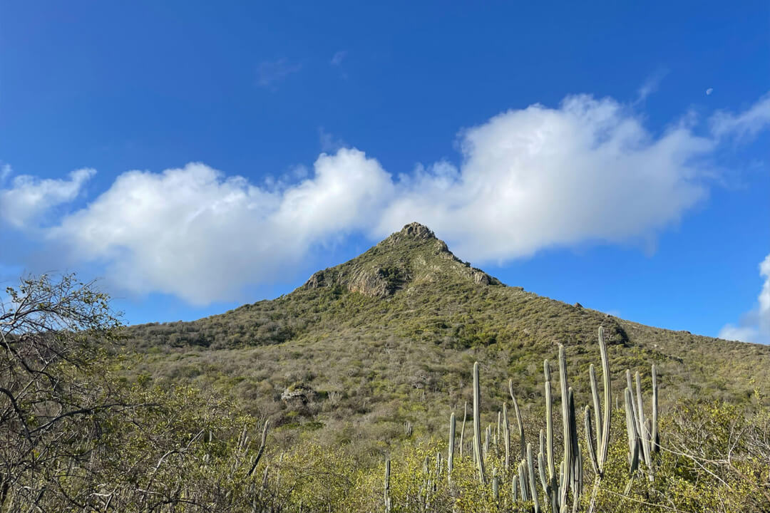 Christoffelberg vanaf beneden gezien