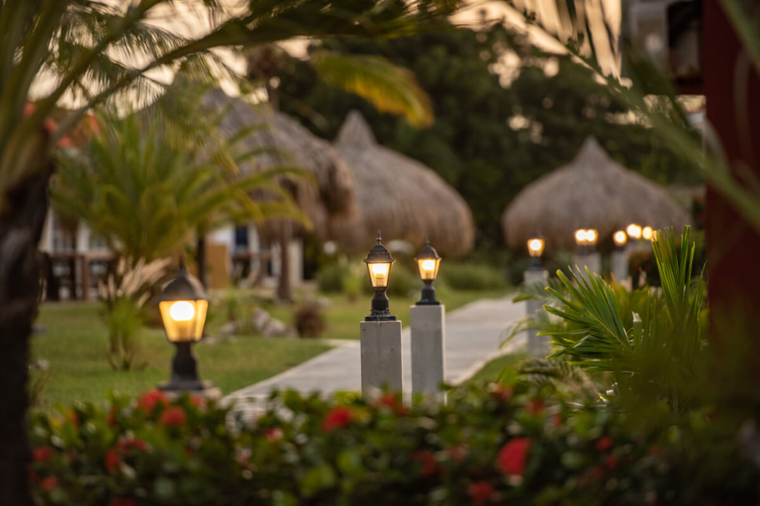 Schemer The Pearl of the Caribbean
