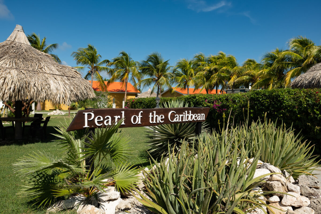 Logo The Pearl of the Caribbean