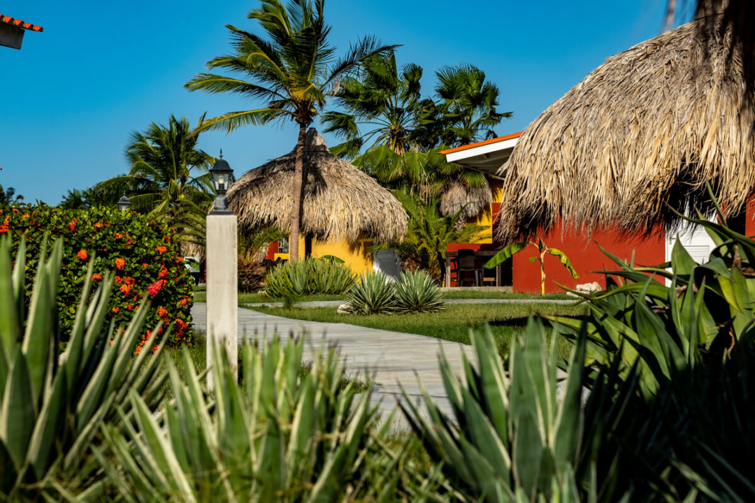 Tuin van The Pearl of the Caribbean